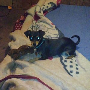 Meet your Posher, Trisha